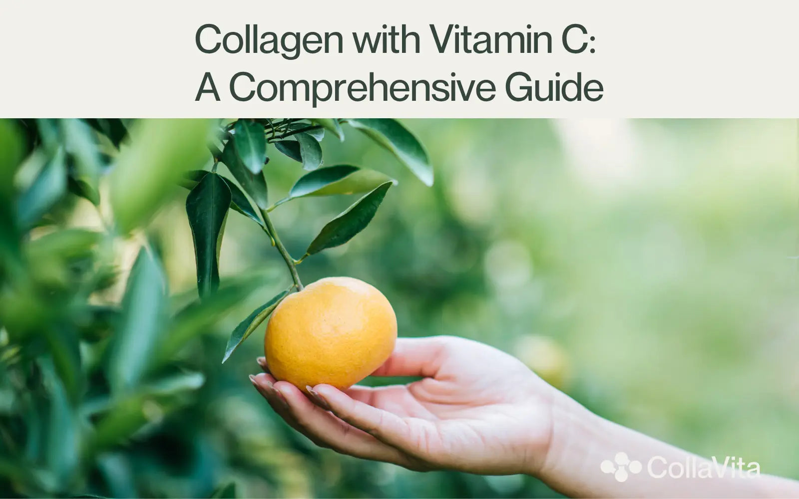 Collagen with Vitamin C: A Comprehensive Guide-CollaVita