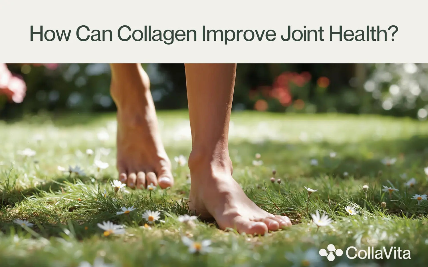 How can collagen improve joint health?-CollaVita