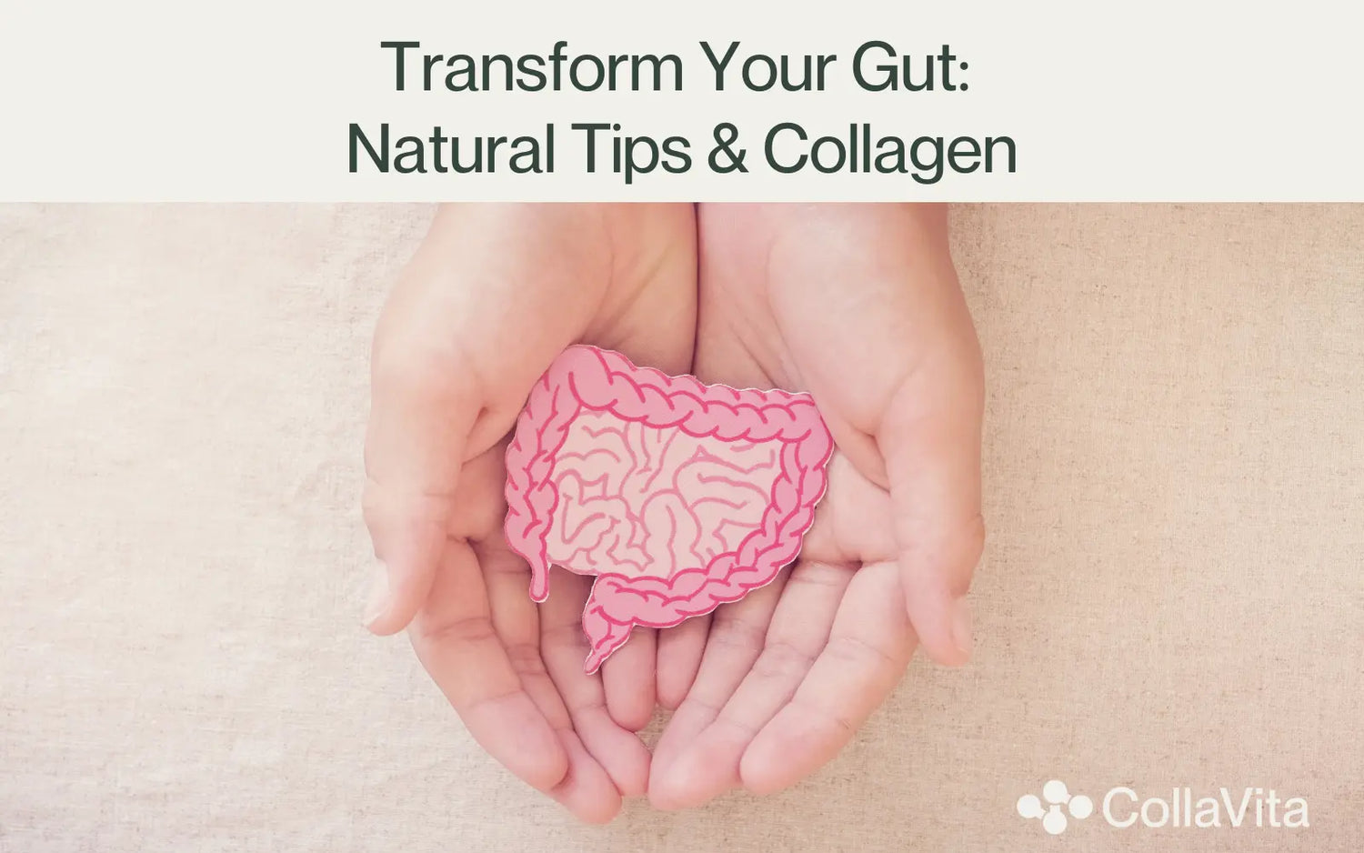 Transform Your Gut: Natural Tips & Collagen-CollaVita