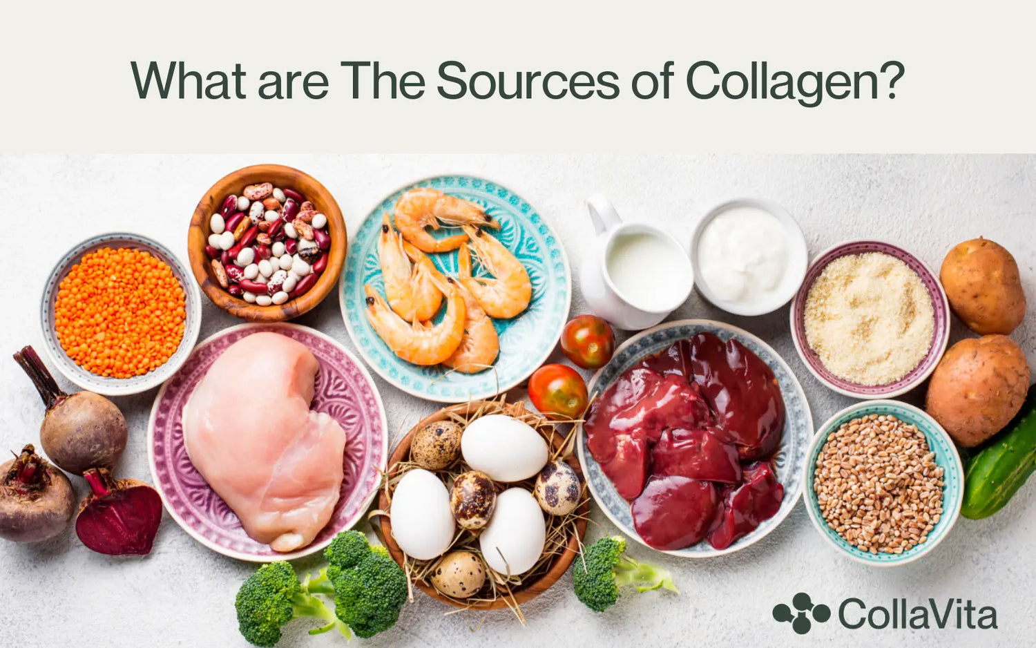 What Are The Sources of Collagen?