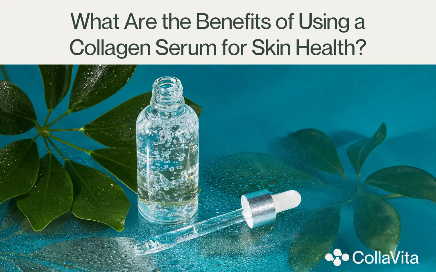 What Are the Benefits of Using a Collagen Serum for Skin Health?-CollaVita
