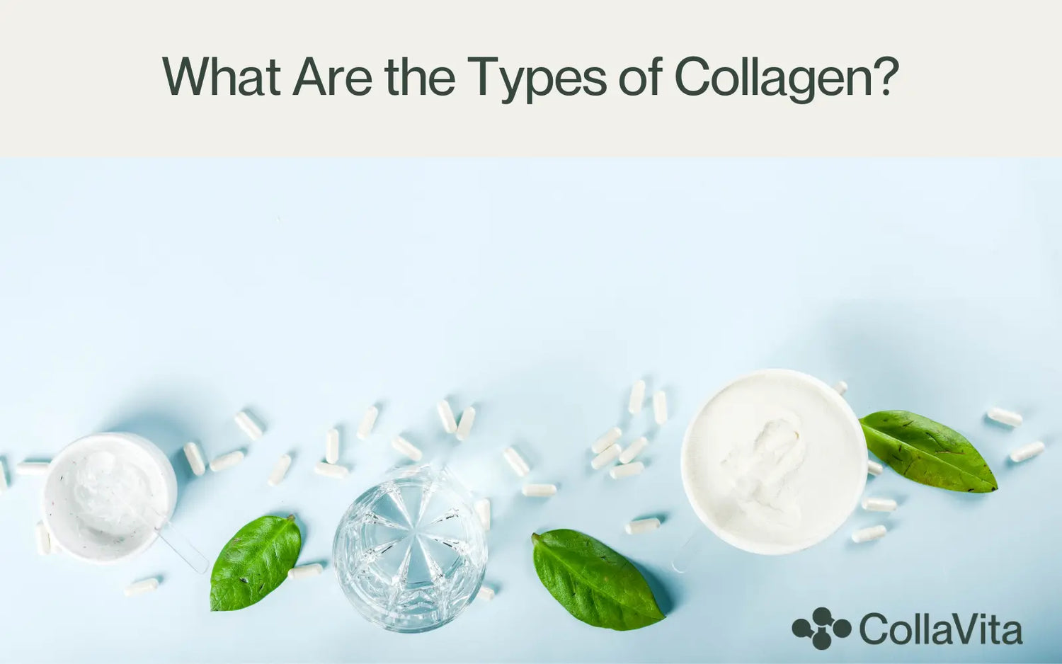 What are the types collagen?-collavitahealth