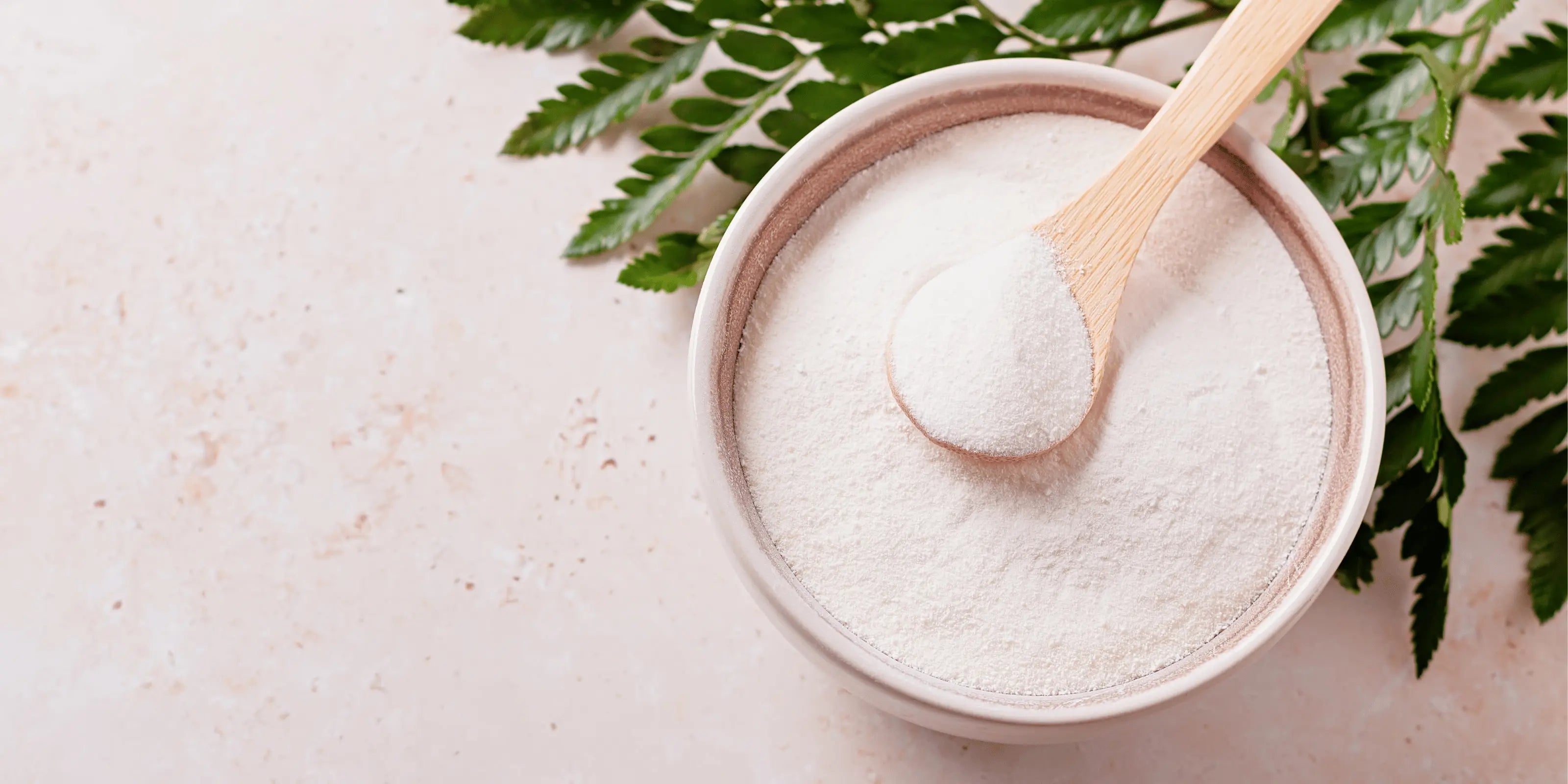 CollaVita Collagen Peptides powder in a ceramic bowl with a wooden spoon, surrounded by green leaves on a light stone surface, symbolizing purity and natural wellness.