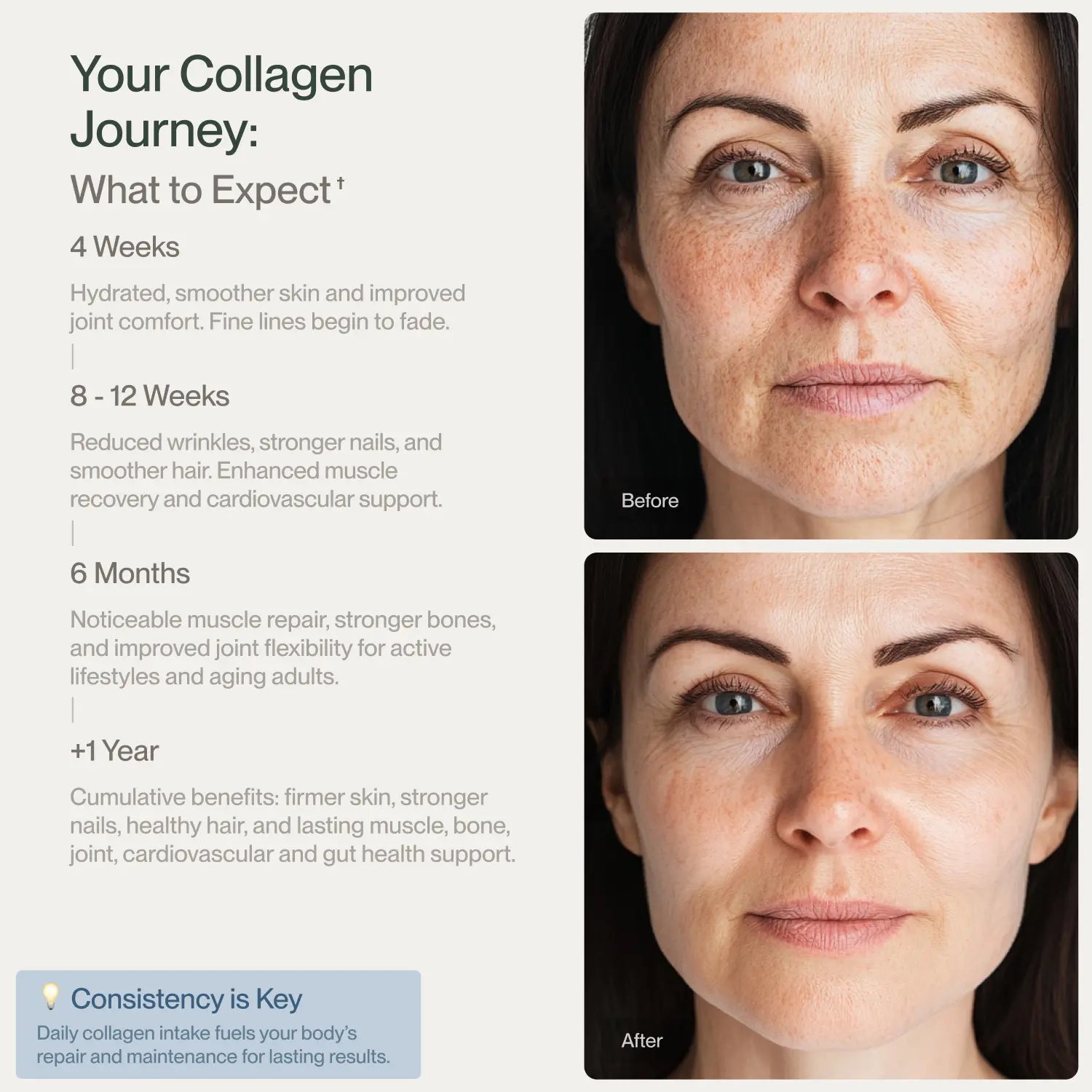 Collagen journey timeline showing before and after results of a woman using CollaVita Collagen Peptides, with visible improvements in skin texture, wrinkles, and hydration over 4 weeks, 12 weeks, 6 months, and 1 year