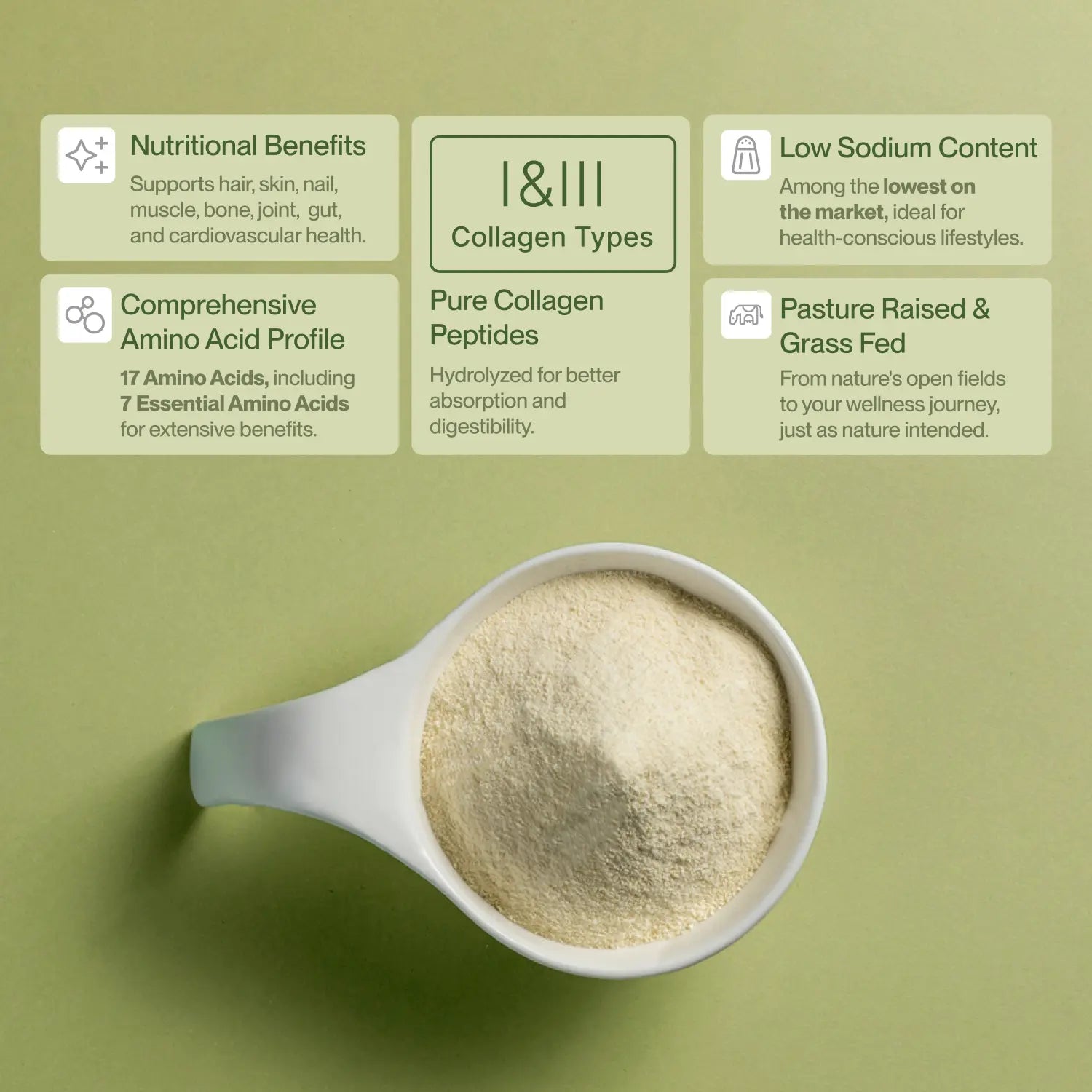 CollaVita Collagen Peptides powder scoop with key benefits: Type I & III, amino acids, low sodium, and pasture-raised source.