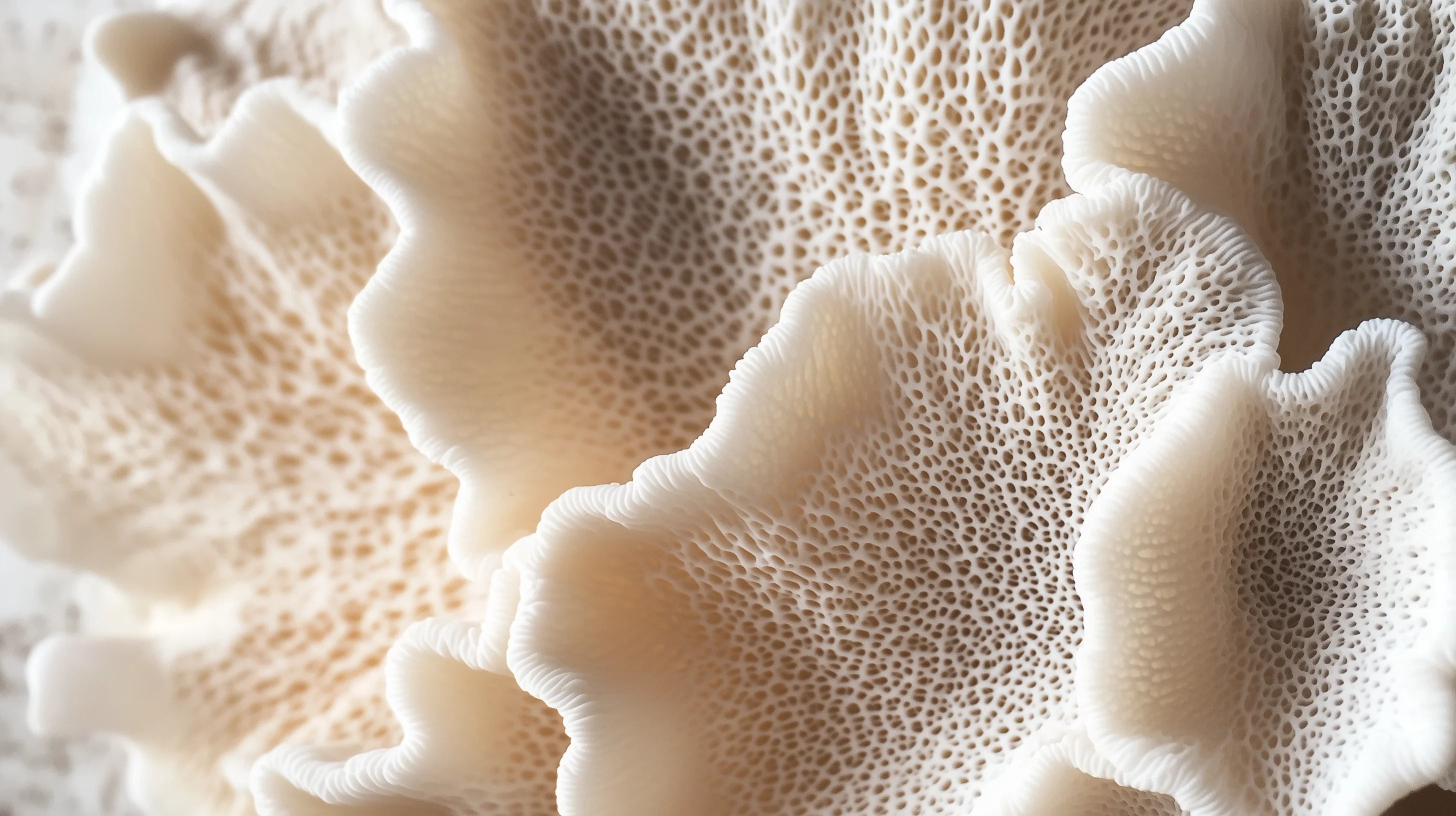 Close-up of collagen microstructure representing CollaVita's scientific approach to skin and joint wellness.
